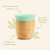 imageMunchkin Bambou Open Training Cup and Divided Suction Plate for Babies and Toddlers NonToxic Bamboo and FoodGrade Silicone
