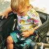 imageMunchkin Collapsible Wagon for Kids Foldable UltraCompact and Lightweight Stroller Wagon AllTerrain Wheels Adjustable Sun Canopy  Holds Up to 2 Passengers BlackStroller Wagon