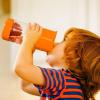 imageMunchkin Miracle 360 Fruit Infuser Toddler Sippy Cup 14 Ounce Orange
