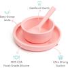 imageMunchkin Silicone Baby Feeding Set Toddler Suction Bowl Plate and Spoon Baby Led Weaning and Infant Self Feeding Cest Silicone Mealtime Set 4 Months and Up BPA Free MintCoral