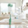 imageMunchkin Sponge Bottle Brush 2 Pack GreenBottle Brush  Sage