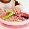 imageMunchkin Stay Put Suction Plates for Baby and Toddler 3 Divided Sections  PinkPurplePinkPurple